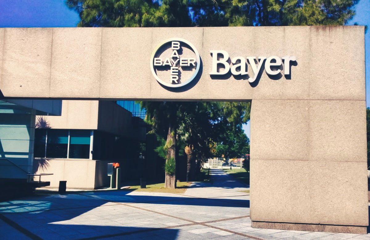 Bayer Pilar, Munro - Cuzzuol